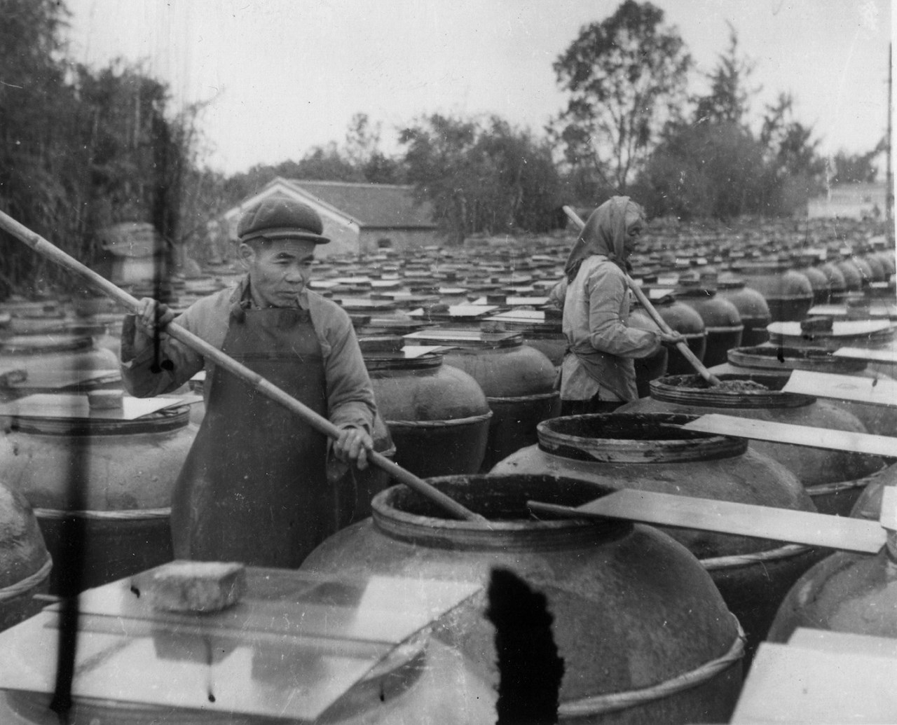 传统的酱园全部是手工劳作.jpg 传统的酱园全部是手工劳作.jpg